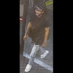 Unknown Suspect