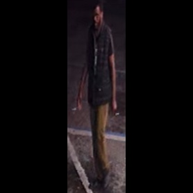 Unknown Suspect