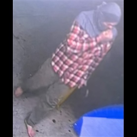 Unknown Suspect
