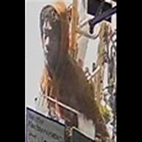Unknown Suspect