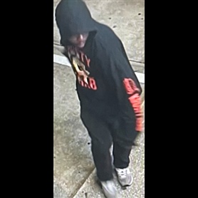 Unknown Suspect