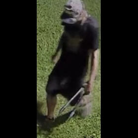 Unknown Suspect