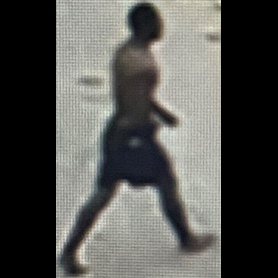 Unknown Suspect