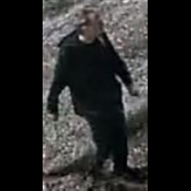 Unknown Suspect