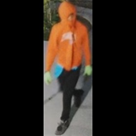 Unknown Suspect