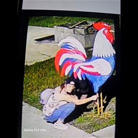 Unknown Suspect