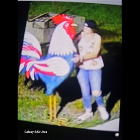 Unknown Suspect