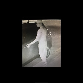 Photo of Auto Burglary