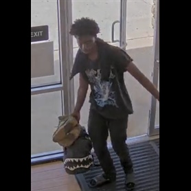 Unknown Suspect