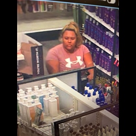 Photo of Grand Theft/Neglect Child Without Great Bodily Harm