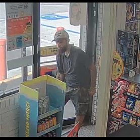 Photo of Auto Theft