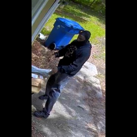 Photo of Theft From Dwelling Or Unenclosed Curtilage