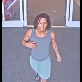 Photo of Petit Theft