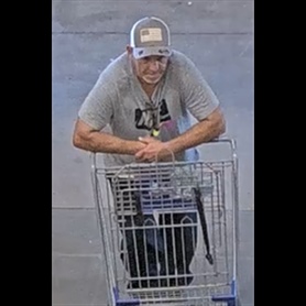 Photo of Petit Theft