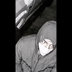 Photo of Auto Burglary